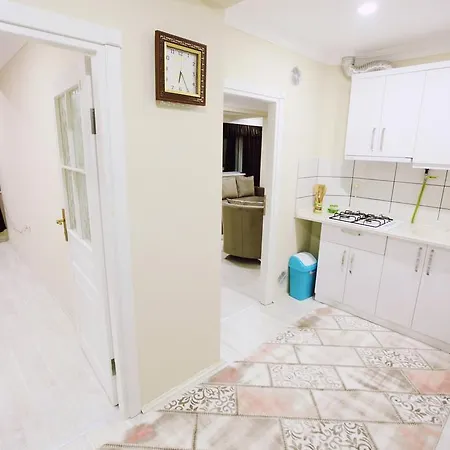 Daire Bayramoglu Airport